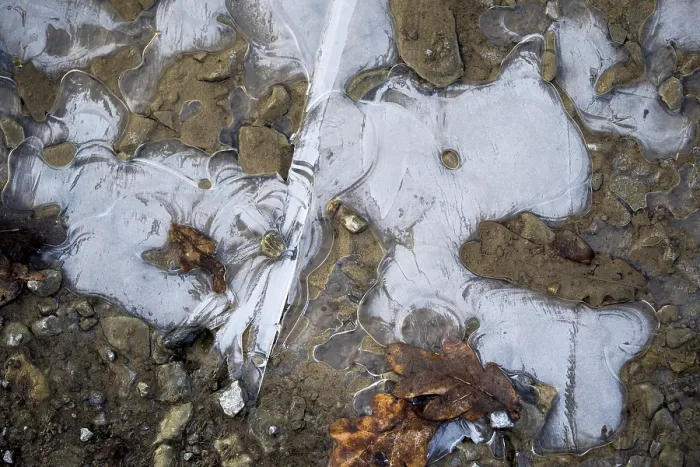 Framed Print : Ice Structures in a Puddle Print, Hesse, Germany
