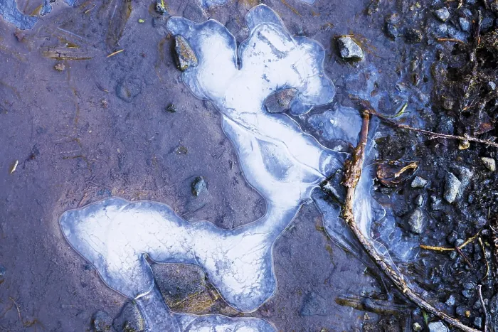 Framed Print : Ice Structures in a Puddle Print, Hesse, Germany Framed Print : Ice Structures in a Puddle Print, Hesse, Germany