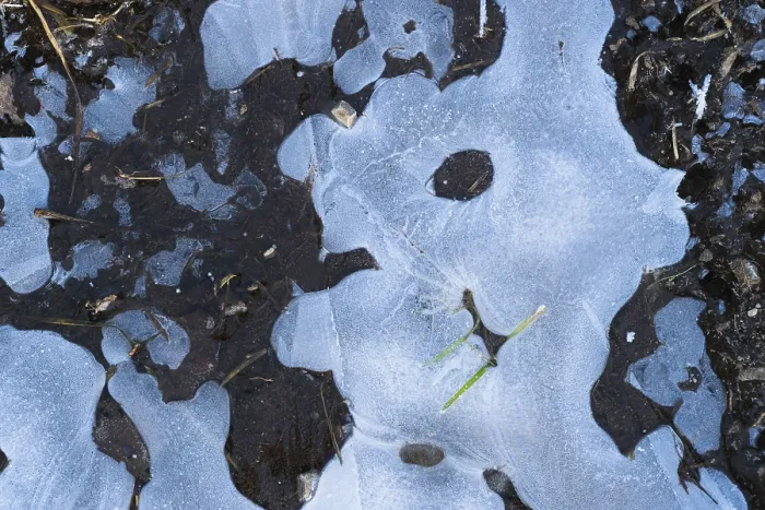 Framed Print : Ice Structures in a Puddle Print, Hesse, Germany Framed Print : Ice Structures in a Puddle Print, Hesse, Germany