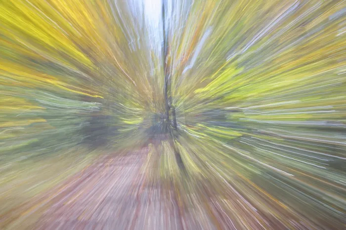 Framed Print : Autumn Forest ICM Unsharp Print Framed Print : Autumn Forest ICM Unsharp Print
