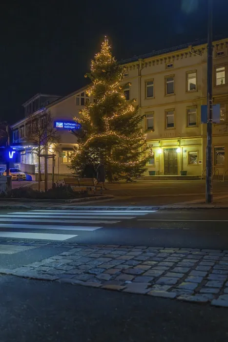 Framed Print : An Illuminated Tree in Aidlingen, Germany Print