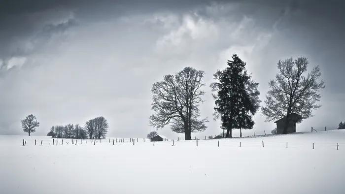 Framed Print : Winter Landscape Print Framed Print : Winter Landscape Print