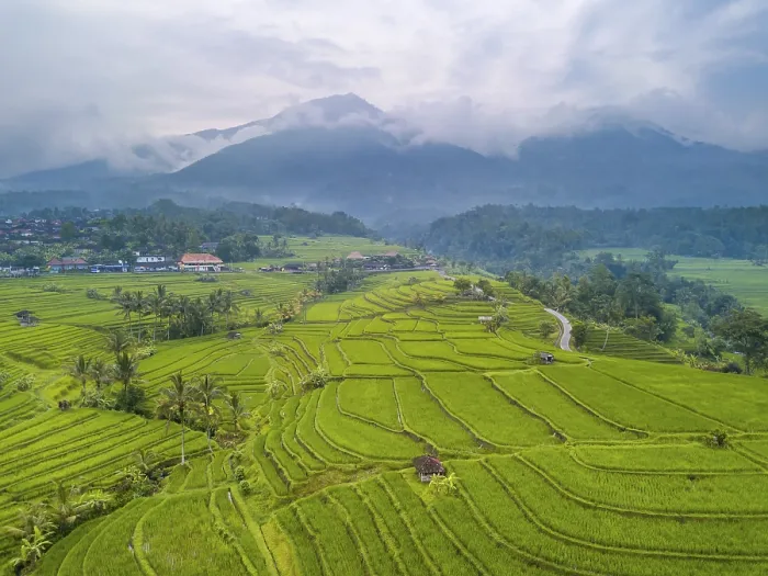 Framed Print : Indonesia Print: Terraced Rice Fields and Mountains Framed Print : Indonesia Print: Terraced Rice Fields and Mountains