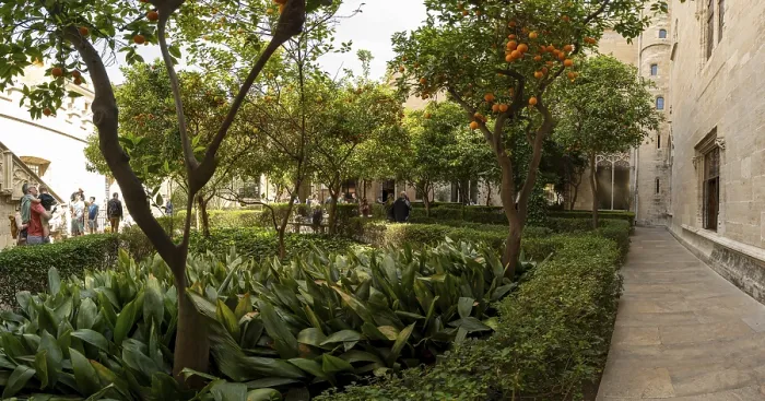 Framed Print : Inner Courtyard with Orange Trees Print, Valencia, Spain Framed Print : Inner Courtyard with Orange Trees Print, Valencia, Spain