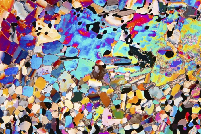 Framed Print : Liquid Crystals Microscopic Print Framed Print : Liquid Crystals Microscopic Print