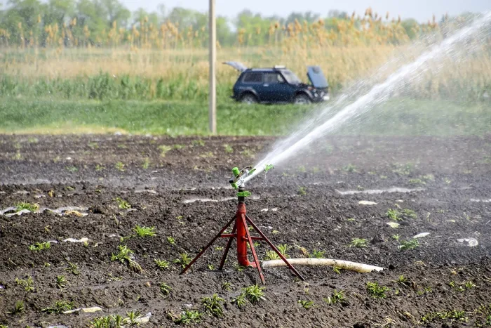 Framed Print : Irrigation System Print: Melon Field Sprinkler Framed Print : Irrigation System Print: Melon Field Sprinkler