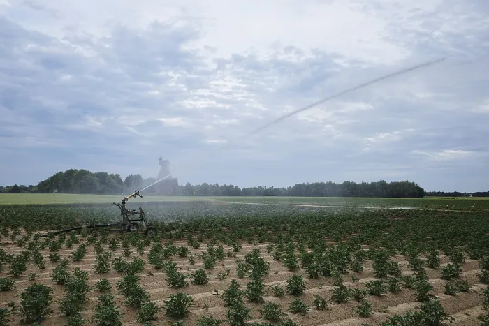 Framed Print : Irrigation of Fields in Drought, Summer Print Framed Print : Irrigation of Fields in Drought, Summer Print