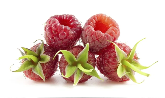 Framed Print : Raspberry Berries Print on White Background Framed Print : Raspberry Berries Print on White Background