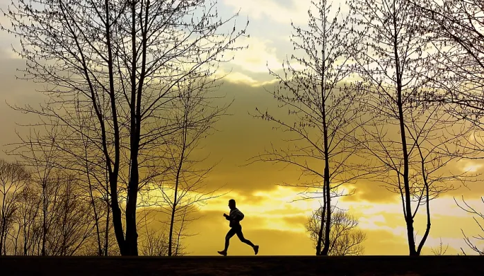 Framed Print : Jogging Jogging Print by imageBROKER Framed Print : Jogging Jogging Print by imageBROKER