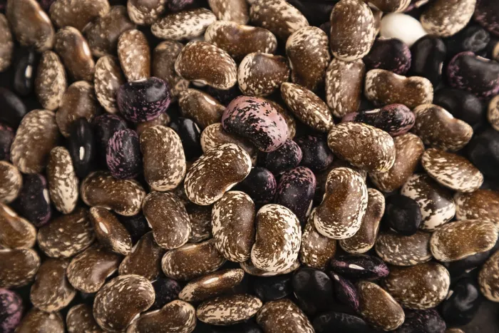 Framed Print : Kidney Beans Texture Close-Up Print Framed Print : Kidney Beans Texture Close-Up Print