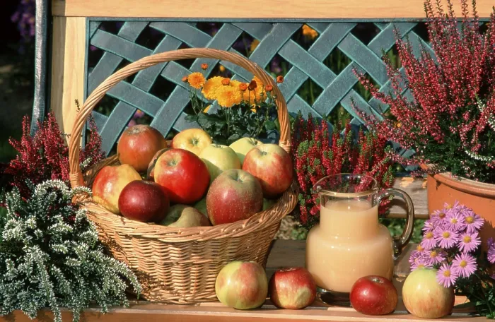 Framed Print : Print of Various Apple Kinds