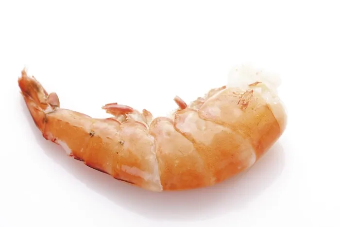 Framed Print : King Prawn Print by imageBROKER Framed Print : King Prawn Print by imageBROKER