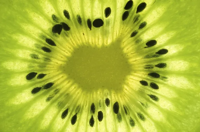 Framed Print : Kiwi Slice Print - Close-Up View Framed Print : Kiwi Slice Print - Close-Up View