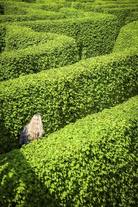 Framed Print : Labyrinth of hedges with three people, Aachen, Germany Print Framed Print : Labyrinth of hedges with three people, Aachen, Germany Print