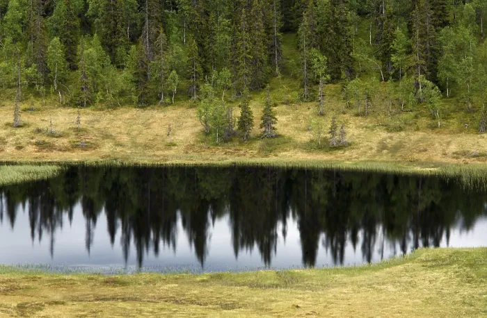 Framed Print : Norway Lake Print Framed Print : Norway Lake Print