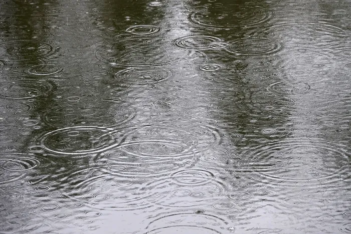 Framed Print : Lake with Raindrops, Spring Print, Germany Framed Print : Lake with Raindrops, Spring Print, Germany