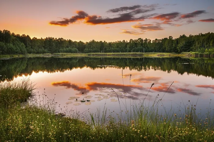Framed Print : Lake with Reflection Print, Schlaubetal Nature Park, Germany Framed Print : Lake with Reflection Print, Schlaubetal Nature Park, Germany