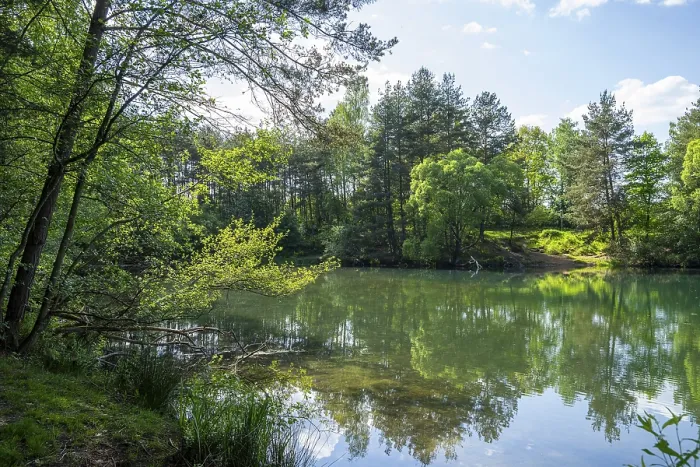 Framed Print : Lake with Reflection of Landscape Print, Franconia, Bavaria Framed Print : Lake with Reflection of Landscape Print, Franconia, Bavaria