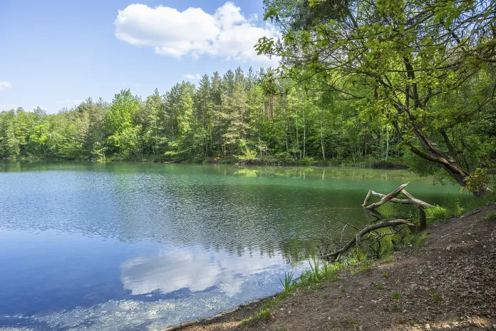 Framed Print : Lake with Reflection of Landscape Print, Franconia, Bavaria Framed Print : Lake with Reflection of Landscape Print, Franconia, Bavaria