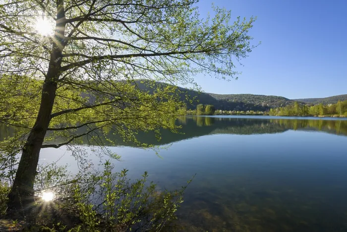 Framed Print : Lake with reflective landscape and tree in spring, Print Framed Print : Lake with reflective landscape and tree in spring, Print