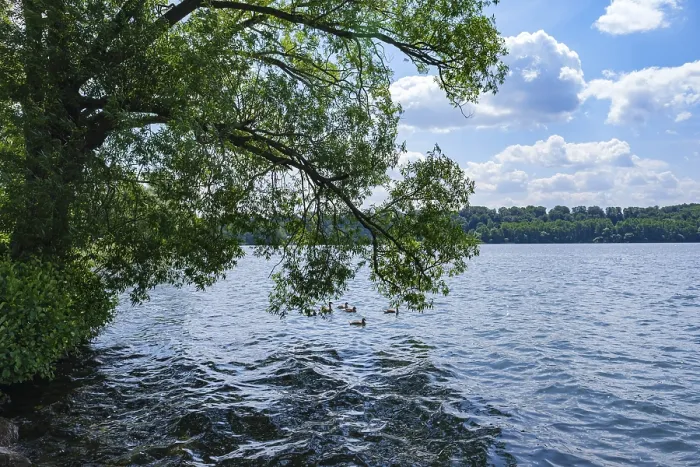 Framed Print : Lakeside Scene Print Framed Print : Lakeside Scene Print