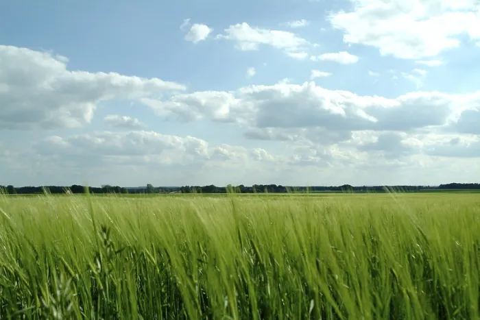Framed Print : Landscape Print by imageBROKER Framed Print : Landscape Print by imageBROKER