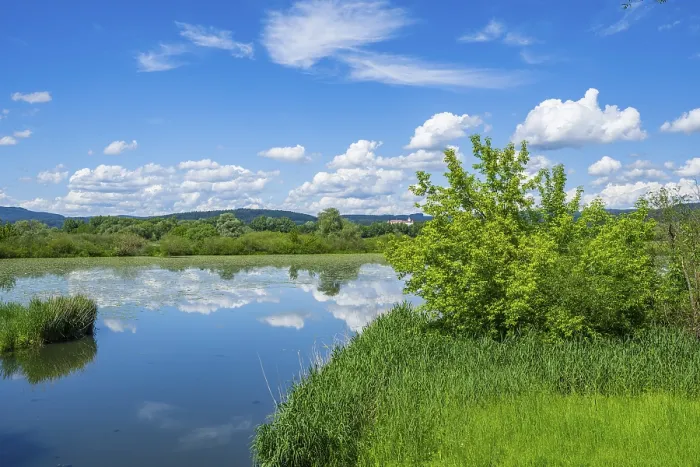 Framed Print : Danubia River Landscape Print, Bavaria, Germany Framed Print : Danubia River Landscape Print, Bavaria, Germany