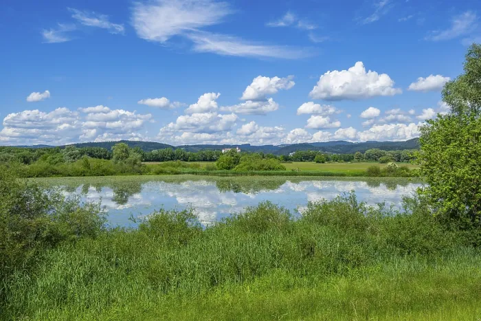 Framed Print : Danubia River Landscape Print, Upper Palatinate, Bavaria Framed Print : Danubia River Landscape Print, Upper Palatinate, Bavaria