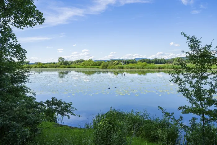 Framed Print : Danubia River Landscape Print, Upper Palatinate, Bavaria Framed Print : Danubia River Landscape Print, Upper Palatinate, Bavaria