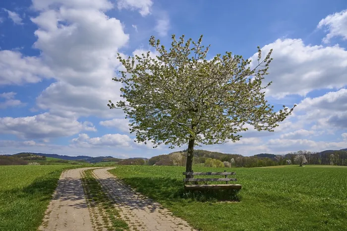 Framed Print : Landscape Print: Hesse, Germany Framed Print : Landscape Print: Hesse, Germany