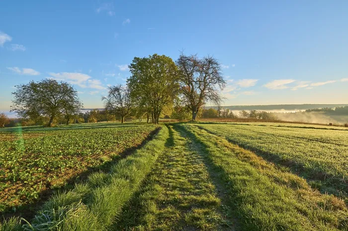 Framed Print : Landscape Print: Field Path in Bavaria, Germany Framed Print : Landscape Print: Field Path in Bavaria, Germany
