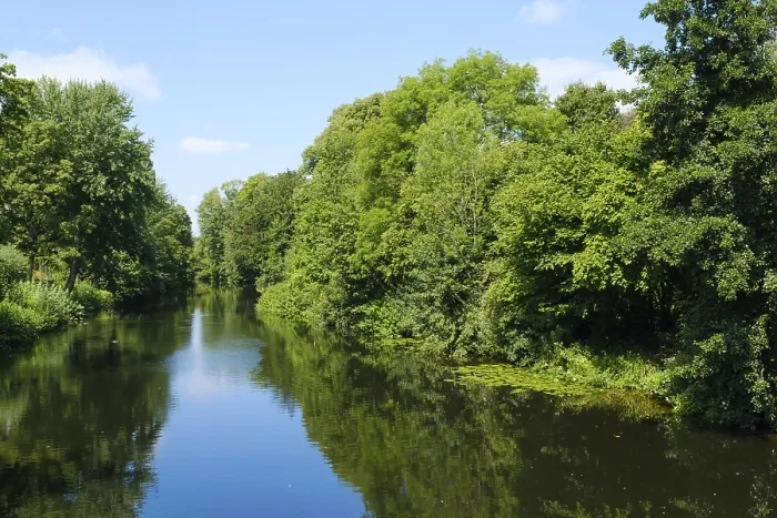 Framed Print : Landscape with forest on the river Ems Print, Germany Framed Print : Landscape with forest on the river Ems Print, Germany
