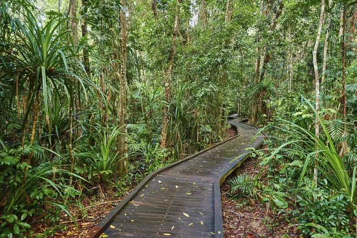 Framed Print : Rainforest Path Print, Jumrum Creek Conservation Park, Queensland Framed Print : Rainforest Path Print, Jumrum Creek Conservation Park, Queensland