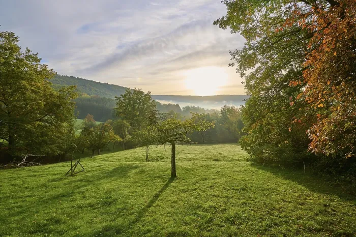 Framed Print : Odenwald Landscape Print, Bavaria, Germany Framed Print : Odenwald Landscape Print, Bavaria, Germany