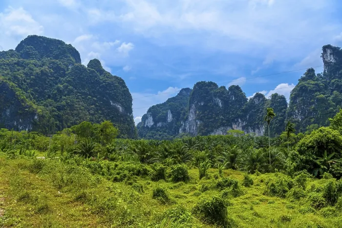 Framed Print : Landscape with Palms and Rocks Cliffs Print, Thailand Framed Print : Landscape with Palms and Rocks Cliffs Print, Thailand