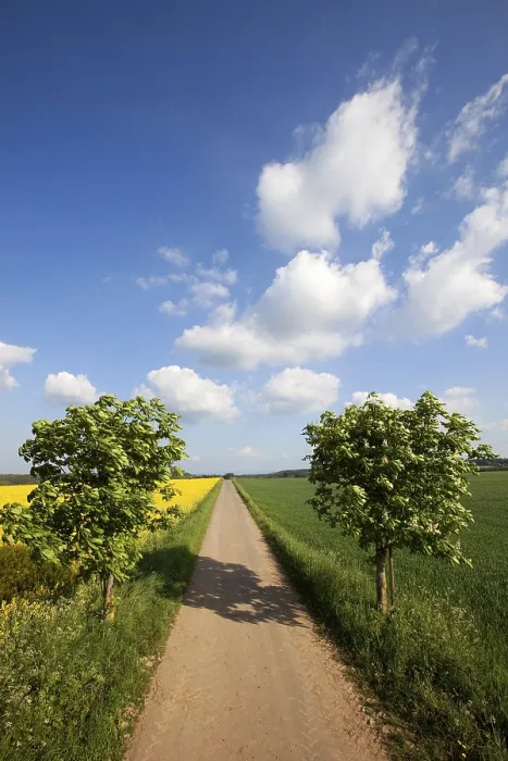 Framed Print : Landscape with road and cloud formations Print, Vulkan Eifel region, Germany Framed Print : Landscape with road and cloud formations Print, Vulkan Eifel region, Germany