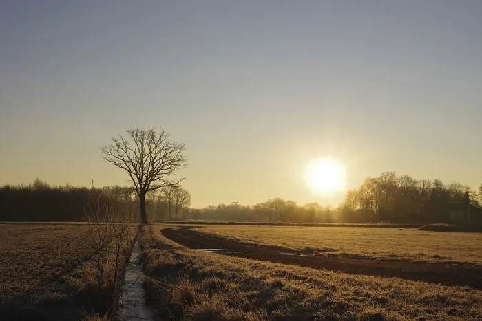 Framed Print : Winter Landscape Print: Warm Sunlight in Germany Framed Print : Winter Landscape Print: Warm Sunlight in Germany