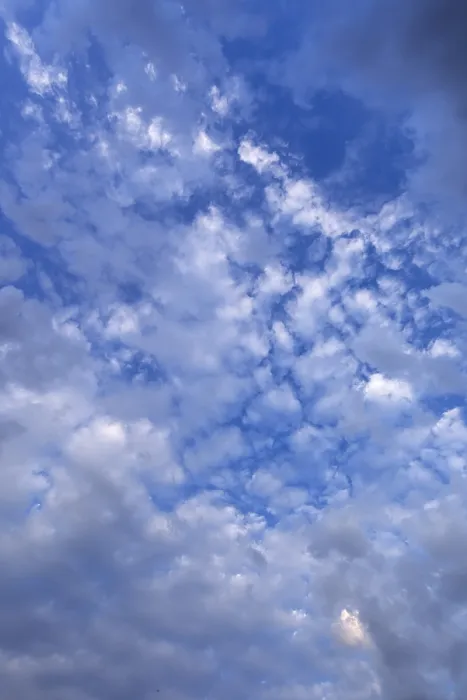 Framed Print : Large Altocumulus Clouds Print, Germany Framed Print : Large Altocumulus Clouds Print, Germany