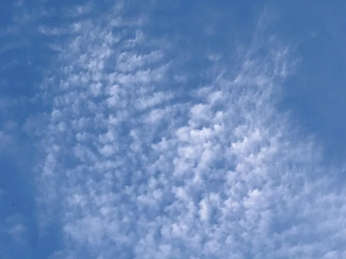 Framed Print : Large Cloud Field Print - Cirrocumulus & Cumulus Framed Print : Large Cloud Field Print - Cirrocumulus & Cumulus