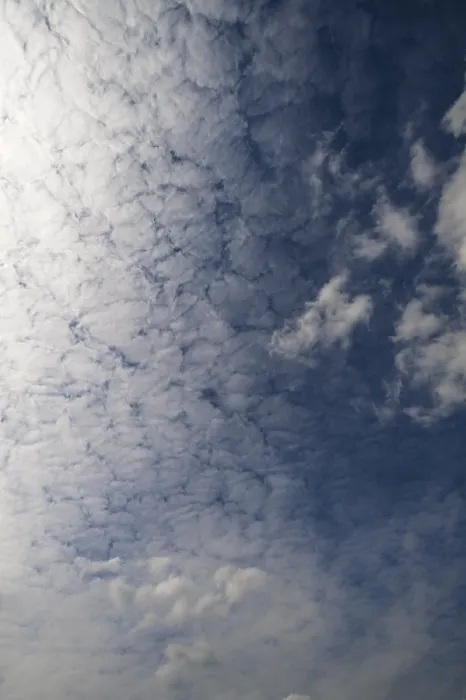 Framed Print : Large Fluffy Clouds Print (Altocumulus)