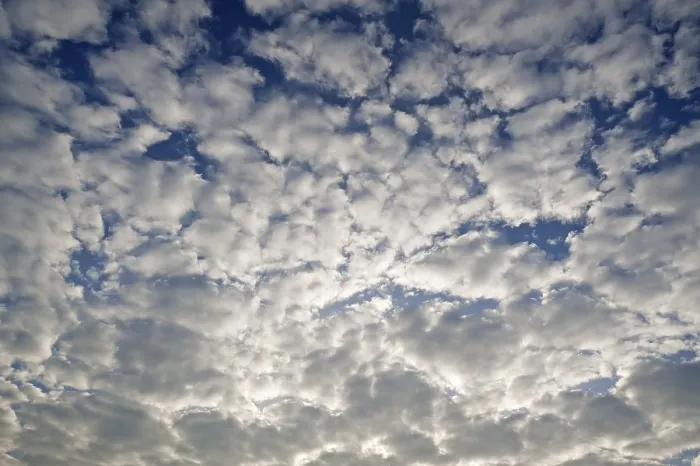 Framed Print : Large Fluffy Clouds Print, Altocumulus Over Germany Framed Print : Large Fluffy Clouds Print, Altocumulus Over Germany