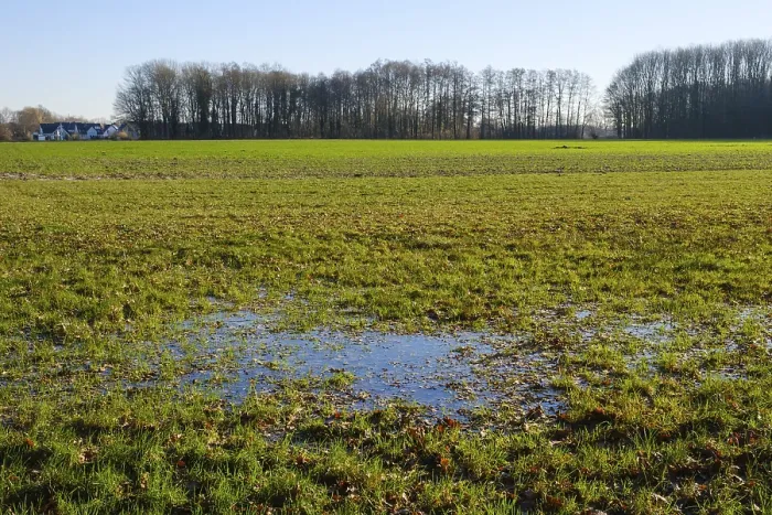Framed Print : Large Puddle in Field at Forest Edge, Dortmund Print Framed Print : Large Puddle in Field at Forest Edge, Dortmund Print