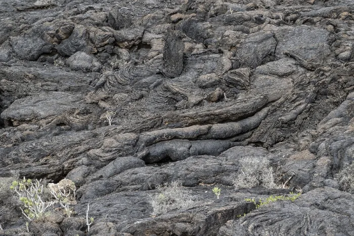 Framed Print : Costa Teguise Lava Structures Print, Lanzarote Framed Print : Costa Teguise Lava Structures Print, Lanzarote