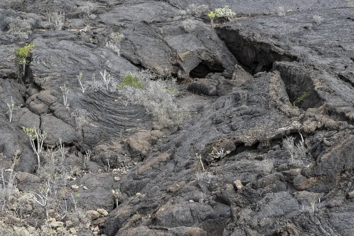Framed Print : Costa Teguise Lava Structures Print, Lanzarote Framed Print : Costa Teguise Lava Structures Print, Lanzarote