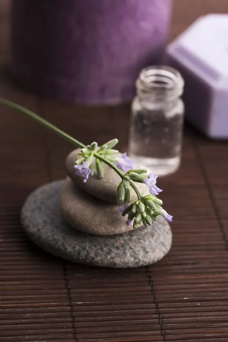 Framed Print : Lavender Spa Print Framed Print : Lavender Spa Print