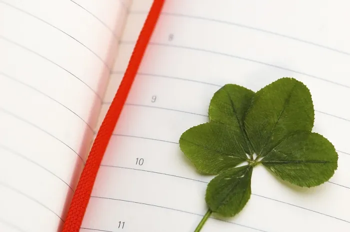 Framed Print : Four Leaf Clover Print - New Day Framed Print : Four Leaf Clover Print - New Day