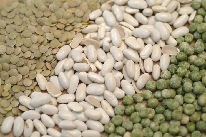 Framed Print : Legumes Print from imageBROKER Framed Print : Legumes Print from imageBROKER