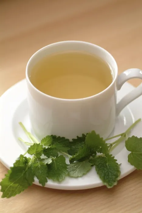 Framed Print : Lemonbalm Tea Print Framed Print : Lemonbalm Tea Print