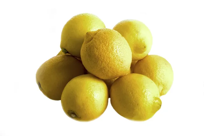 Framed Print : Lemons Print by ImageBROKER Framed Print : Lemons Print by ImageBROKER