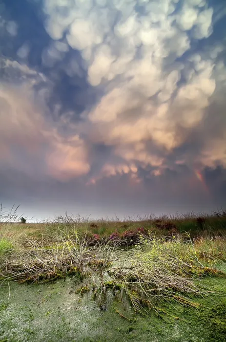Framed Print : Lenticular Clouds Print: Stormy Sunset Over Dutch Bog Framed Print : Lenticular Clouds Print: Stormy Sunset Over Dutch Bog